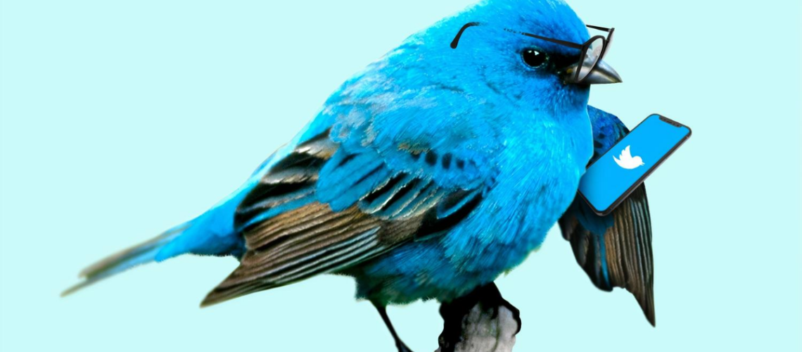 Ransomware meets twitter - Blog